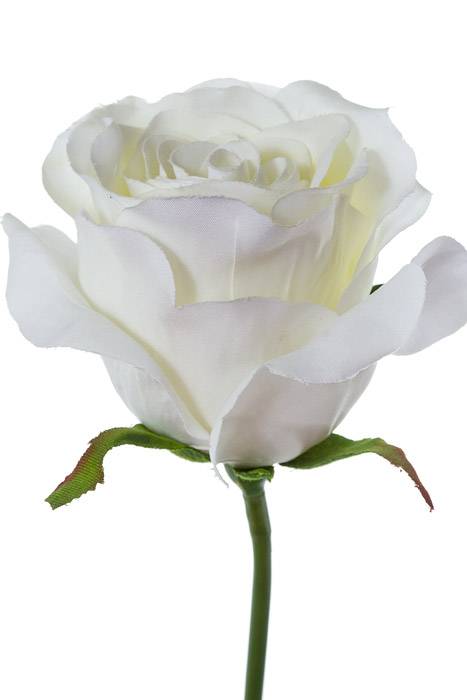 28" Rose Stem White