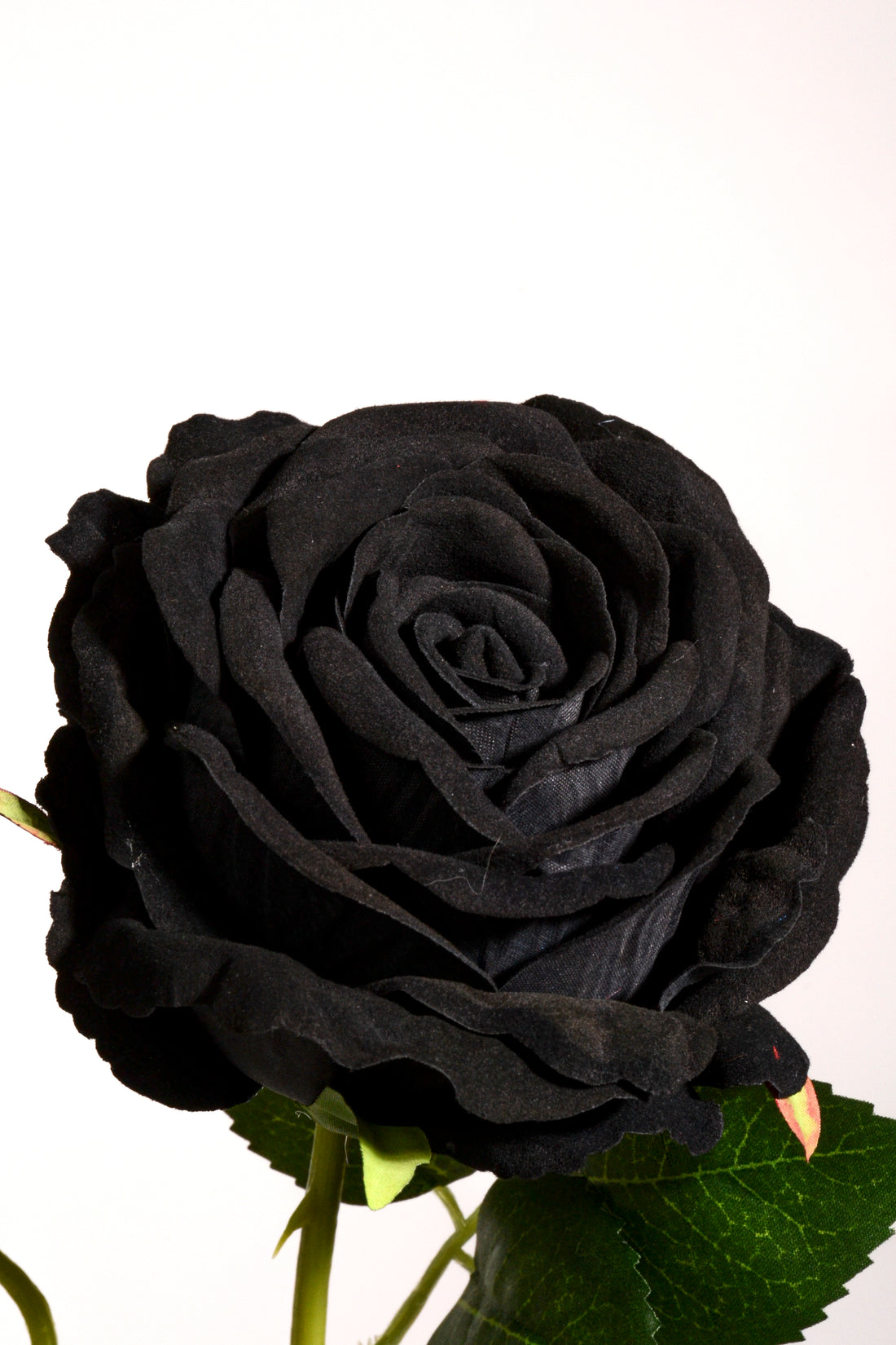 29.5" Silk Rose Spray Black