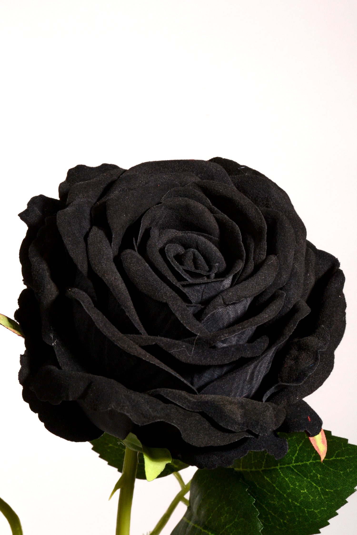 29.5" Silk Rose Spray Black