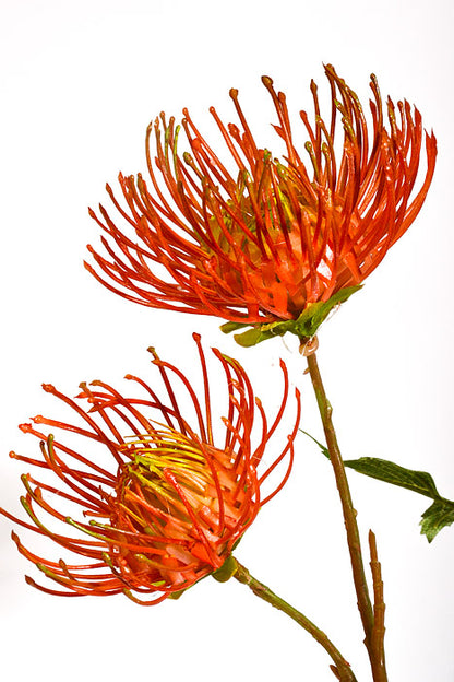 27" Artificial Leucospermum Spray Orange