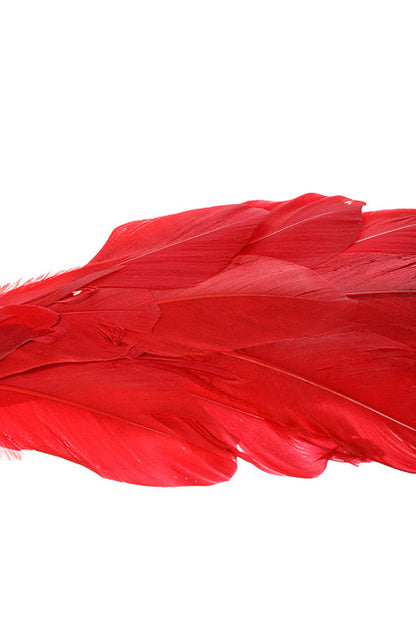 10.5" Feather Peacock/Glitter Red