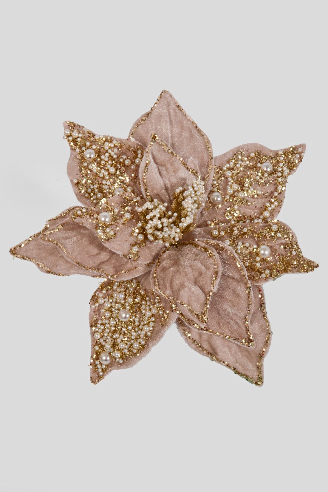 8.5" Poinsettia W/Pearl Clip Champagne