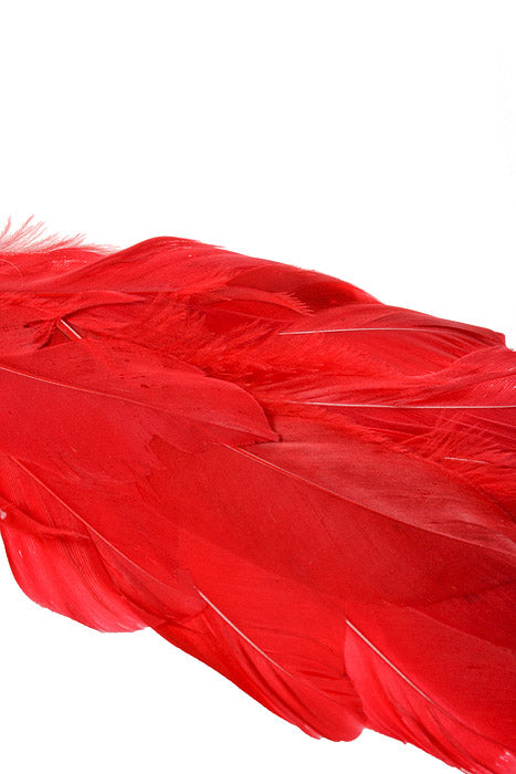12" Long Tail Glitter Chickadee Red