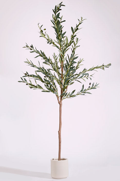 71" Artificial Olive Tree w/Pot Grey/Green