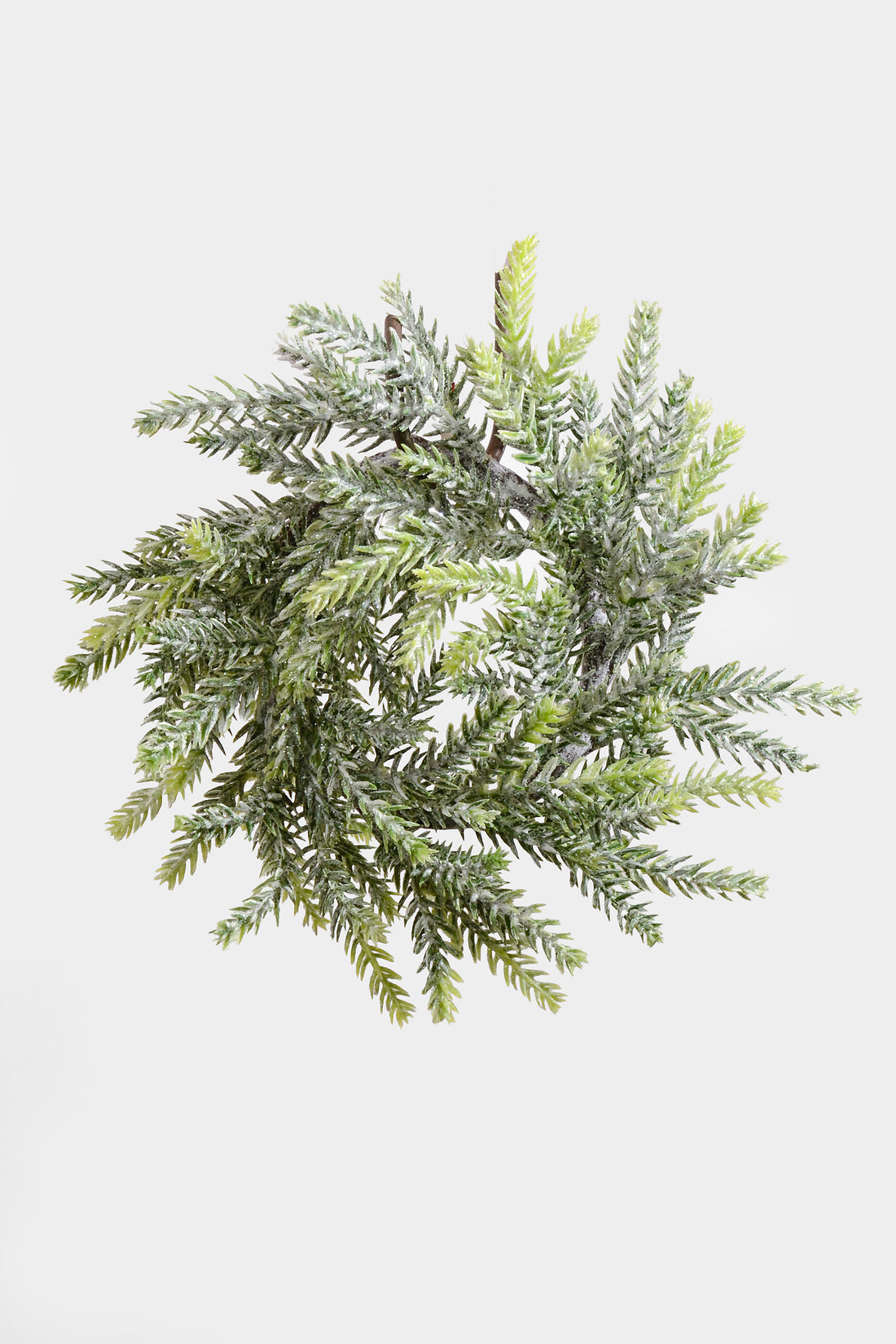 8" Mini Frost Frasier Fir Candle Ring Natural Frost