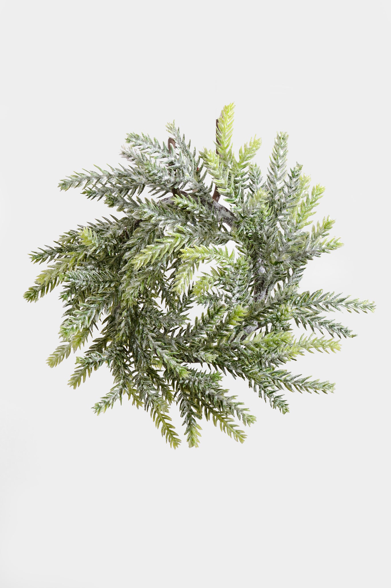 8" Mini Frost Frasier Fir Candle Ring Natural Frost