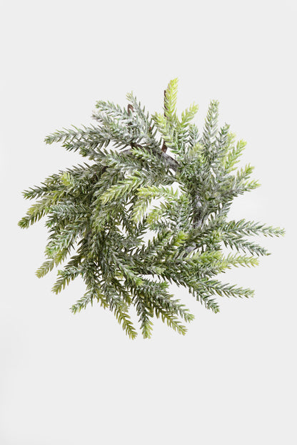 8" Mini Frost Frasier Fir Candle Ring Natural Frost