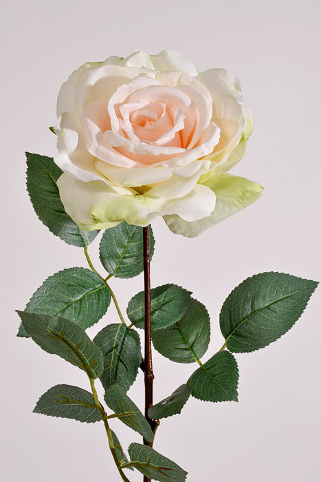 30" Silk Queen Anne Rose Cream/Peach
