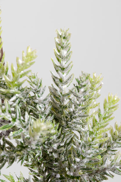 8" Mini Frost Frasier Fir Candle Ring Natural Frost