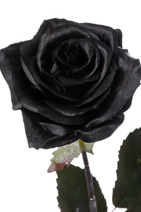 21.5&quot; Magic Rose Spray Black