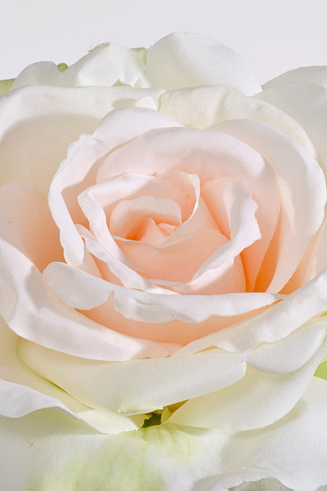 30" Silk Queen Anne Rose Cream/Peach