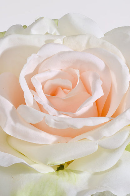 30" Silk Queen Anne Rose Cream/Peach
