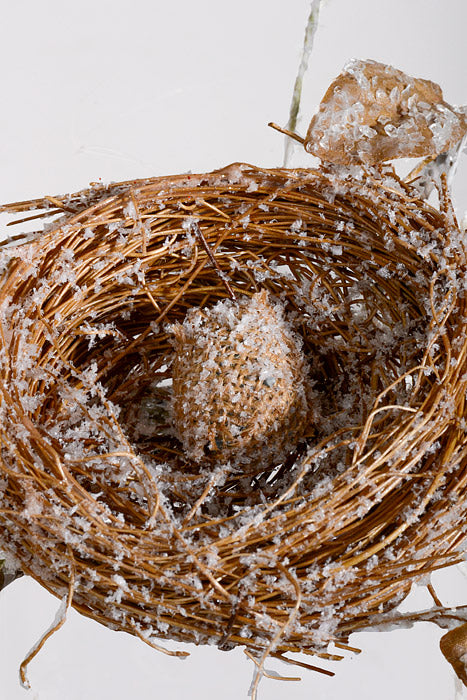15" Winter Snowy Nest  with Branch and Egg Natural Frosted