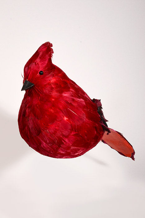 11" Feather Cardinal Red