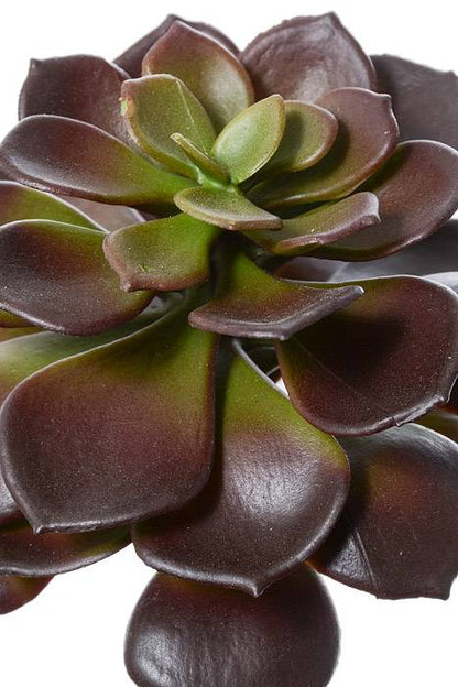 9" Artificial Echeveria Pick Burgundy/green
