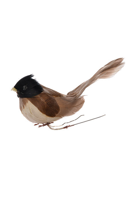 4" Feather Wren Bird Brown Pkg/12