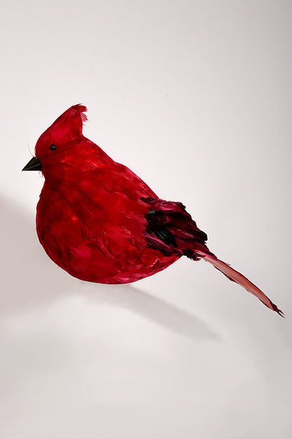 11" Feather Cardinal Red
