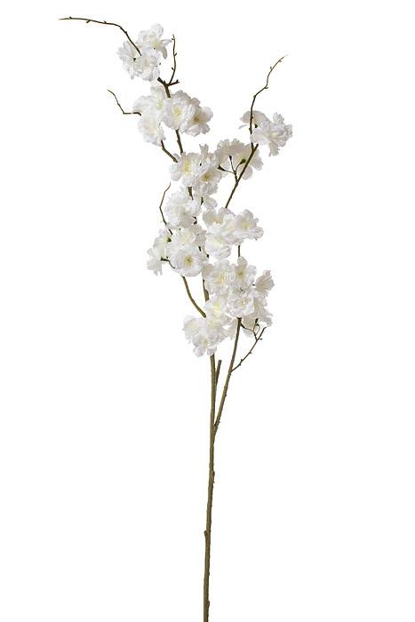 50" Silk Cherry Blossom Cream