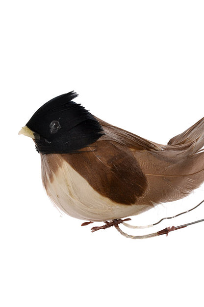 4" Feather Wren Bird Brown Pkg/12