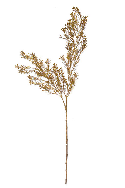 31" Cedar Spray Gold