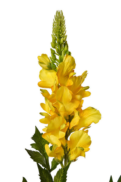 33.5" Silk Snapdragon Spray Yellow
