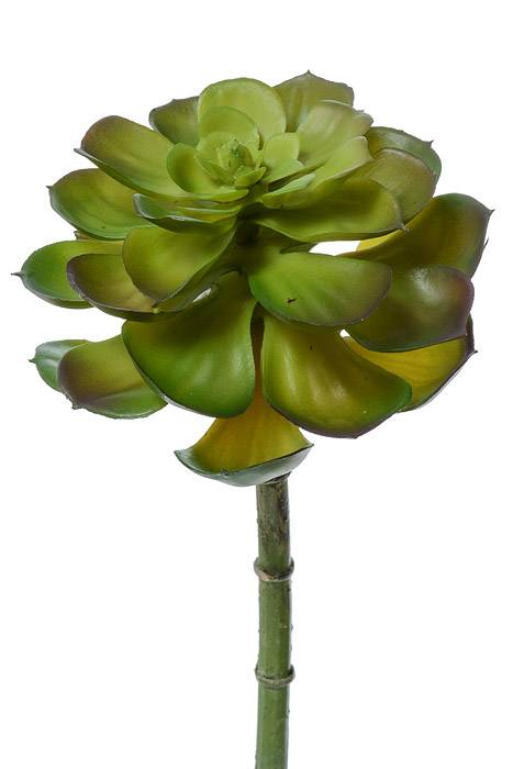 8" Artificial Echeveria Pick Green/burgundy