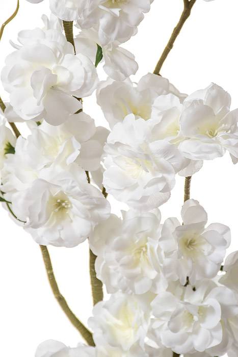 50" Silk Cherry Blossom Cream