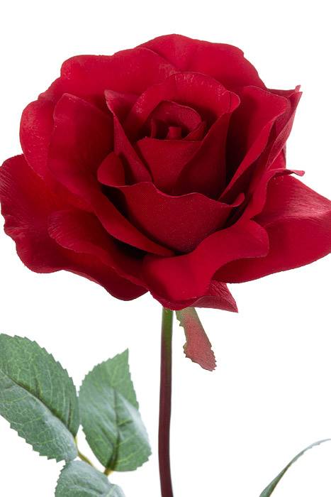 28" Planter Rose Red Pkg/12