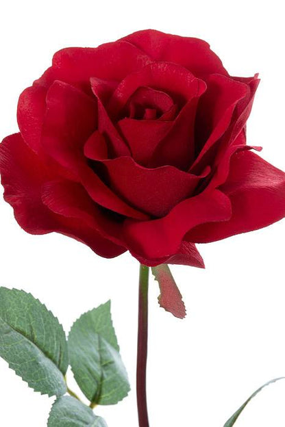 28&quot; Planter Rose Red Pkg/12