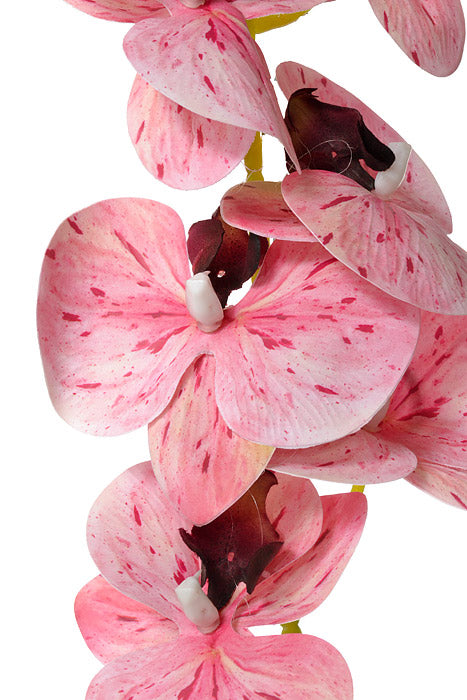 45" Silk Phalaenopsis Spray Mauve/Cream