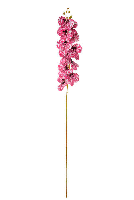 45" Silk Phalaenopsis Spray Cream/Orchid