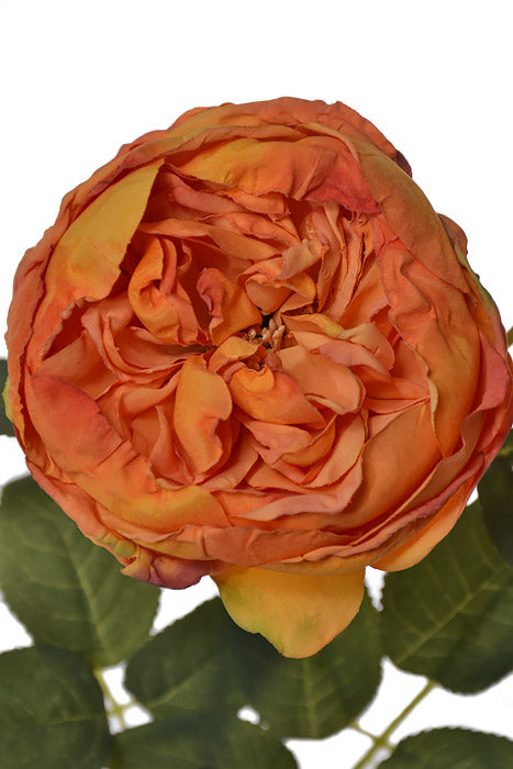 28.5" Silk Cottage Rose Spray Orange