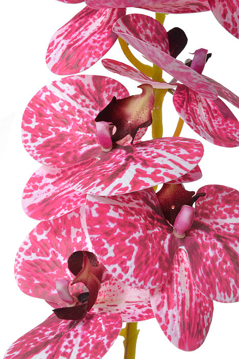 45" Silk Phalaenopsis Spray Cream/Orchid