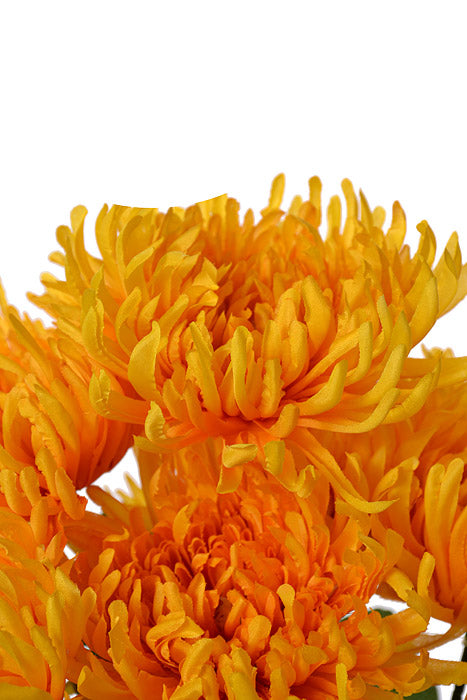 21" Silk Chrysanthemum Bush Yellow