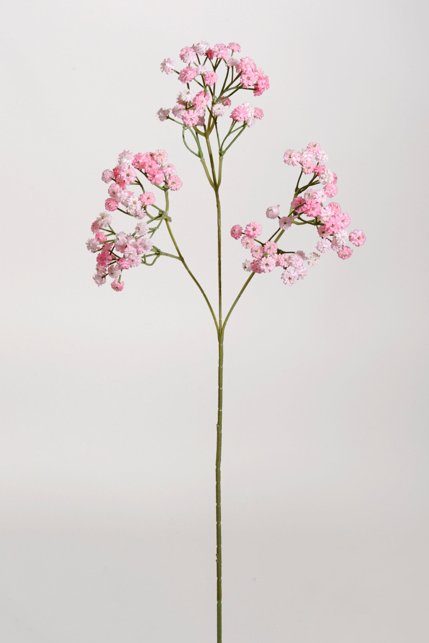 25.5" Artificial Baby&