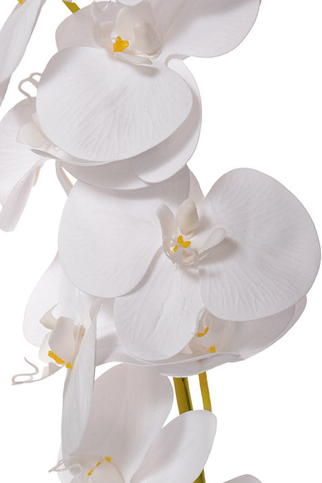 56" Silk Phalaenopsis Spray White