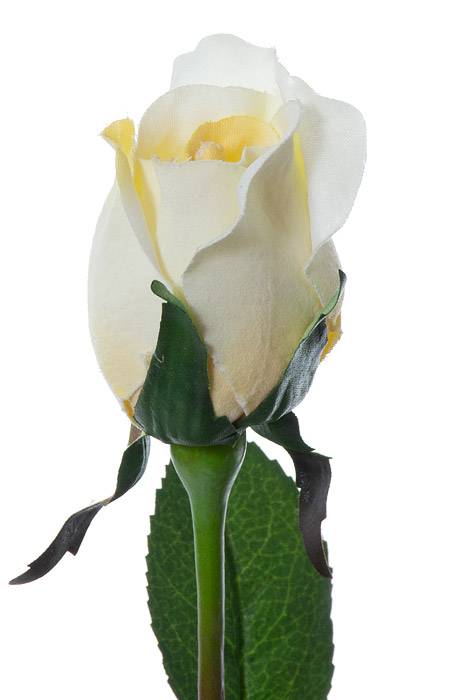 Silk Planters Rose Bud Candle White Pkg/12