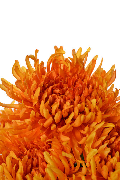 21" Silk Chrysanthemum Bush Orange