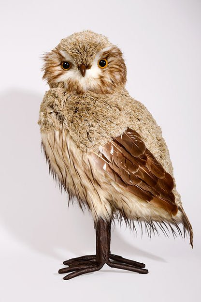 19.5" Winter Chalet Feather Owl Natural Cream