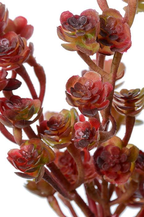 8.5" Artificial Sedum Pick Green/burgundy