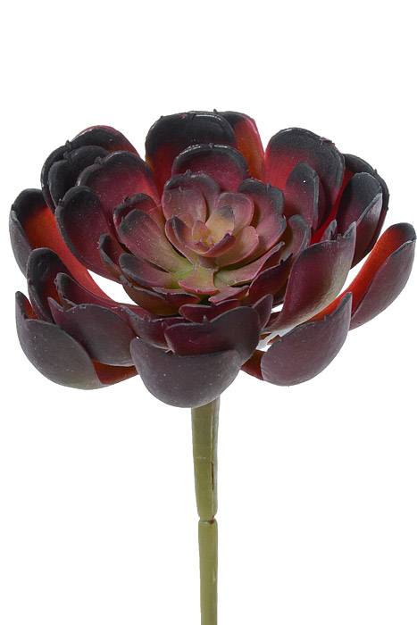 4" Artificial Echeveria Pick Burgundy/green