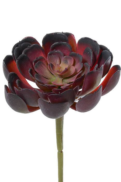 4" Artificial Echeveria Pick Burgundy/green