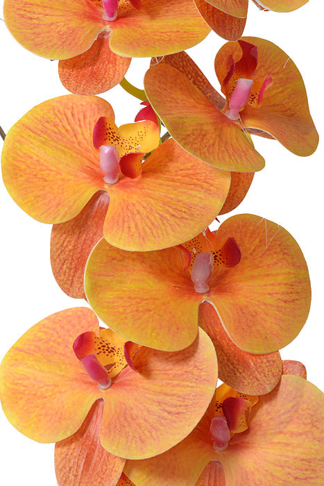 45" Silk Phalaenopsis Spray Orange/Fuchsia