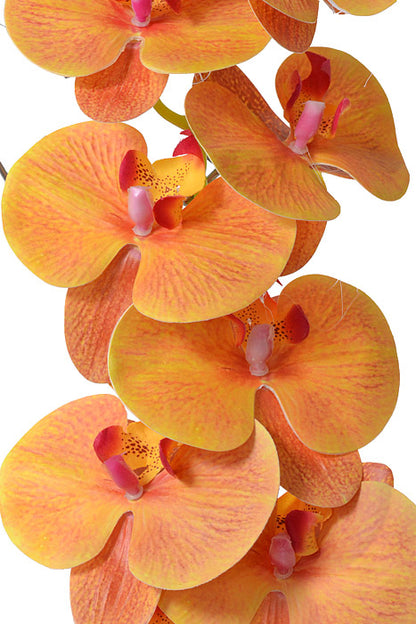 45" Silk Phalaenopsis Spray Orange/Fuchsia