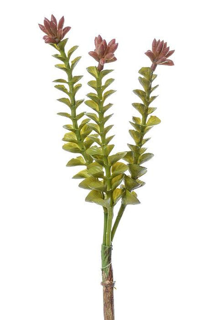 9.75" Artificial Crassula Pick Green/burgundy