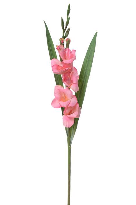 33" Silk Gladiolus Spray Pink/cerise