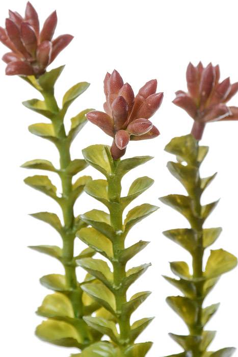 9.75" Artificial Crassula Pick Green/burgundy
