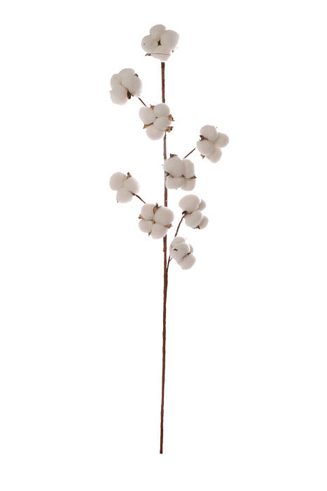29.5" Cotton Pod Spray White/Natural