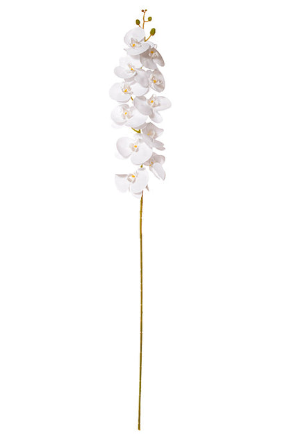 45" Silk Phalaenopsis Spray White