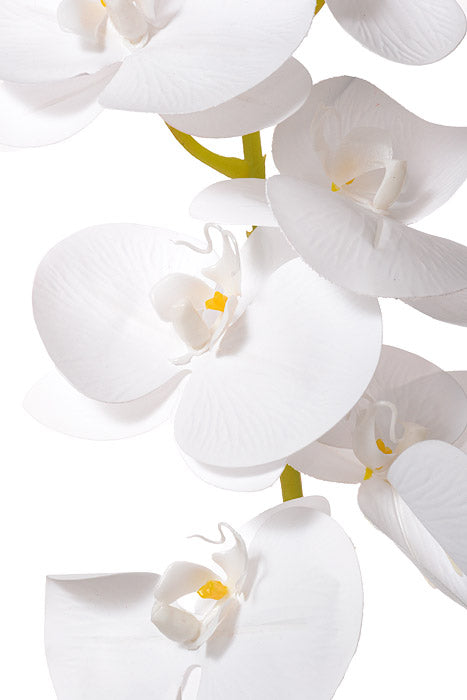 45" Silk Phalaenopsis Spray White